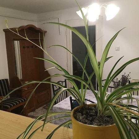 Апартаменти Levendula Apartmanhaz Шюмег Екстер'єр фото