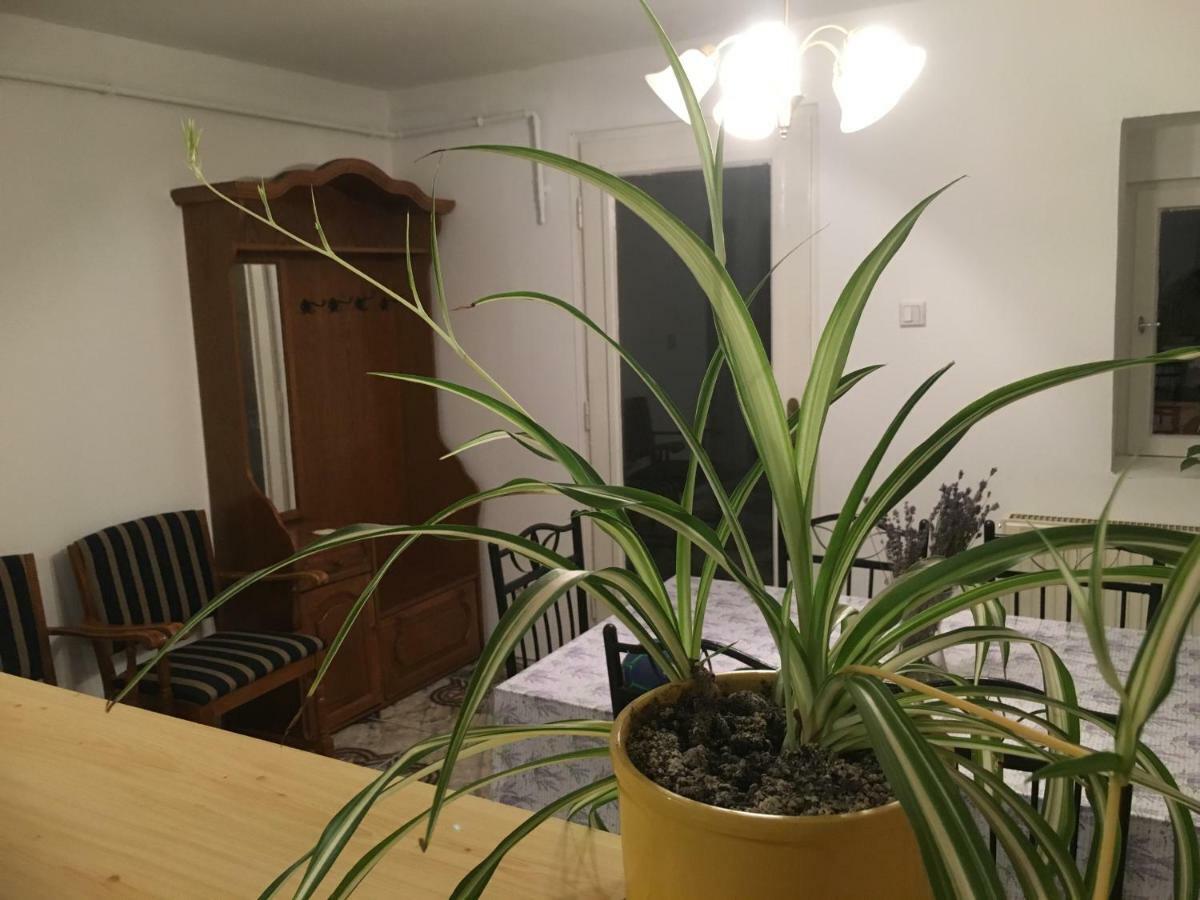 Апартаменти Levendula Apartmanhaz Шюмег Екстер'єр фото